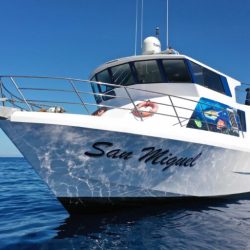 DJI_0258_2352xa_3528xa-768x512